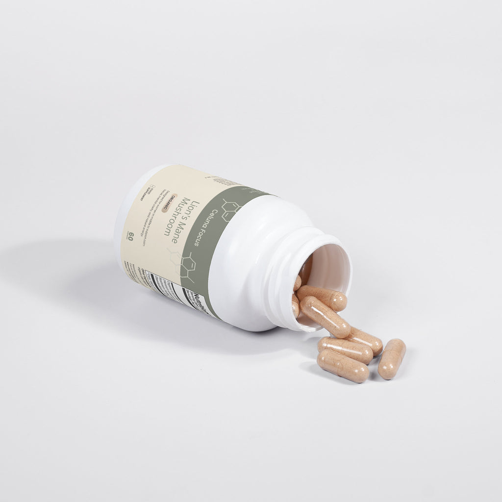 Lion's Mane Mushroom